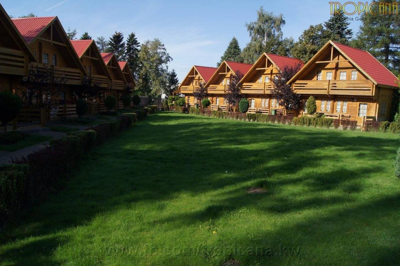 Tropicana Ϫϫ Jastrzebia Gora Exterior photo